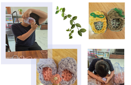 7667a4599cafd7d33686654b558bc5ef_1714575151_5248.png