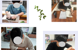 7667a4599cafd7d33686654b558bc5ef_1714575336_3867.png