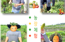461f8aa276956db4c54c7f155e87652b_1727346276_9458.png